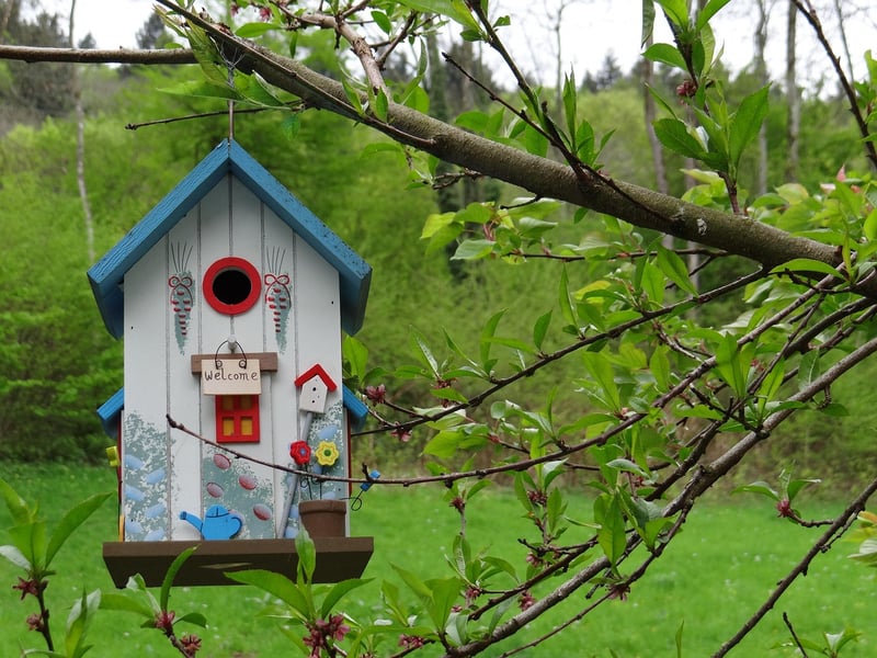 Treetop Bungalow